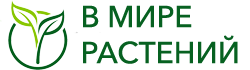 В мире растений